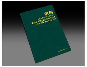 石家莊專業(yè)設(shè)計(jì)服務(wù) 從品牌形象到視覺傳達(dá)的一站式解決方案